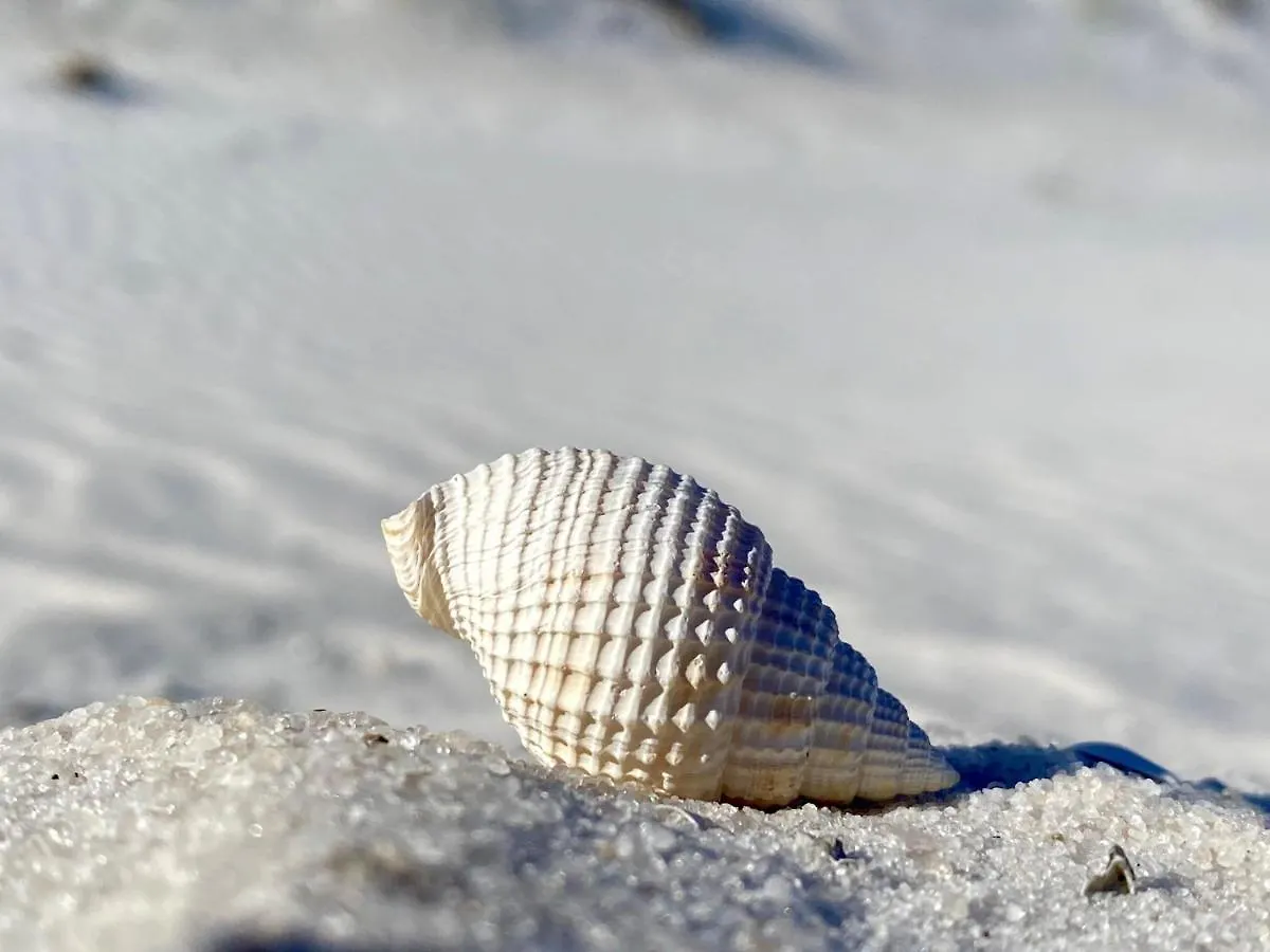 Holiday Surf And Racquet Unit 403 Destin